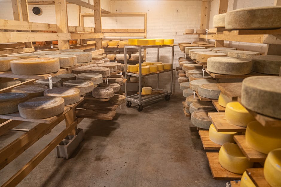 Artisanal cheeses