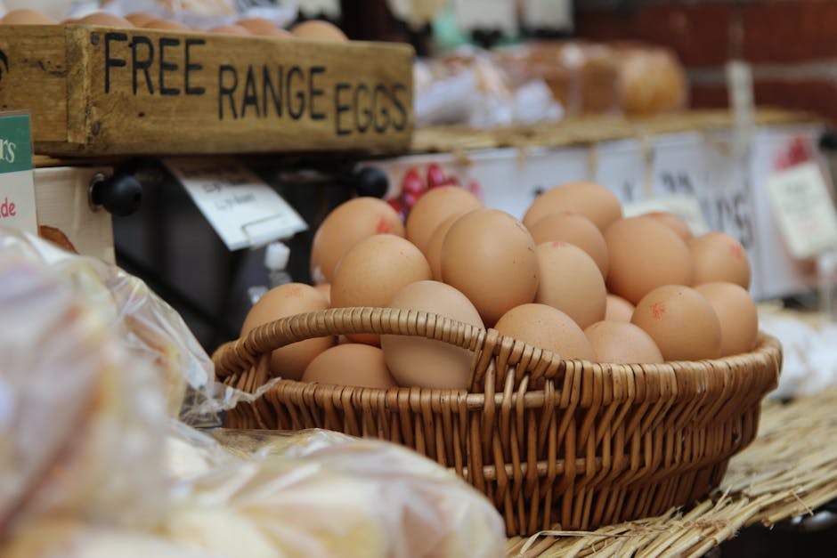Fresh farm eggs